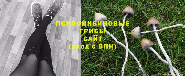 метадон Армянск